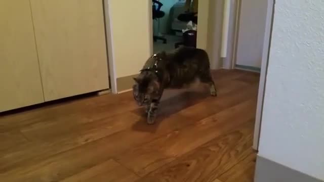 here's a wank .debm for ya