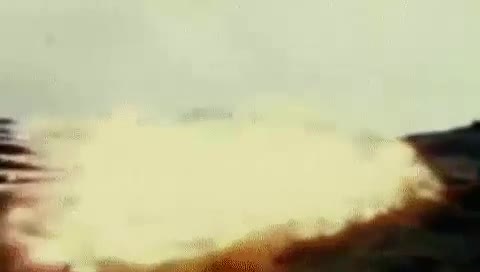 >TFW no 			*****		 given