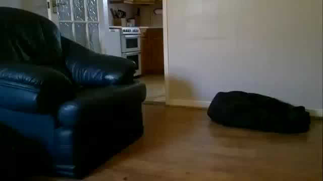 Someone please give me the source of this LOL