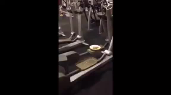 Someone please give me the source of this LOL