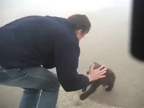 Man brutally mauls cute defenceless kitten