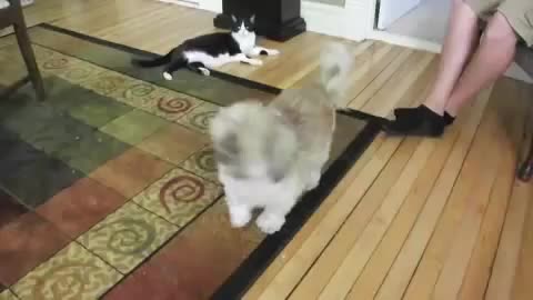 Those glorious weed videos are done by SilliS Remix. This is my personal fav! youtu.be/pNdO95XfJ8I