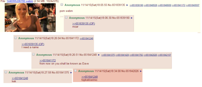 4chan comp. #47. Some of the pictures are stolen directly from the chan. Some of them are stolen from people who stole them on the chan. Some of them are stolen