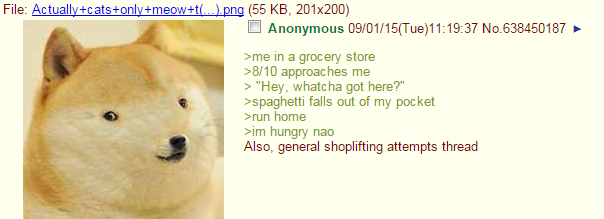 4chan comp. #40. Some of the pictures are stolen directly from the chan. Some of them are stolen from people who stole them on the chan. Some of them are stolen