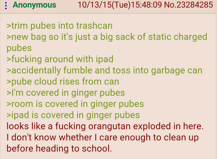 4chan comp. #41. Some of the pictures are stolen directly from the chan. Some of them are stolen from people who stole them on the chan. Some of them are stolen