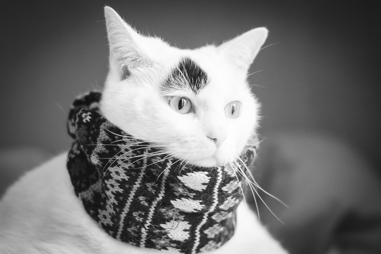 Dank Wallpapers #11. Part 1 /channel/wallpapers/Dank+wallpapers+1/gjYeLtw/ Part 2 /channel/wallpapers/Dank+wallpapers+2/sjYeLfw/ Part 3 /Dank+wallpapers+3/funny