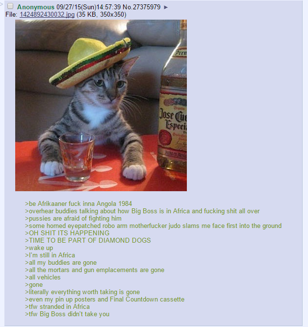 Dankest Dogs/MGS V Comp. Chapter 2: Meme I plan to do more comps, thist ime with more spoilers soon. jUST add me as a friend.. Casa ! like. This could be useful