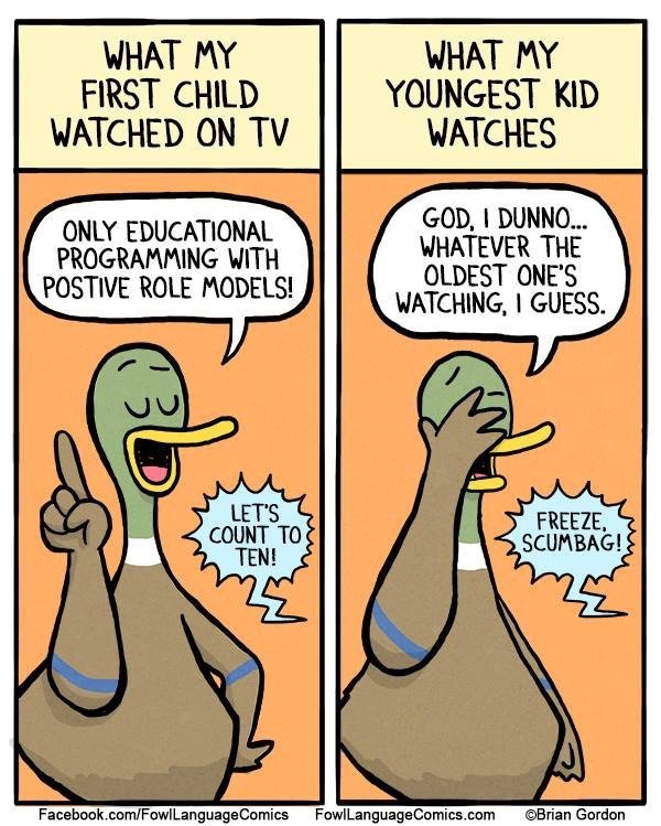 Duck Dynasty. .. I wonder why he decided to use ducks?