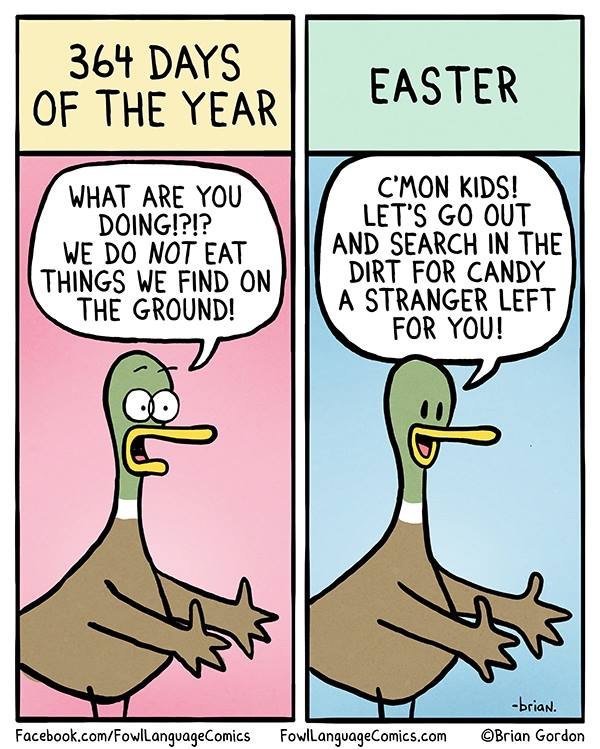 Duck Dynasty. .. I wonder why he decided to use ducks?