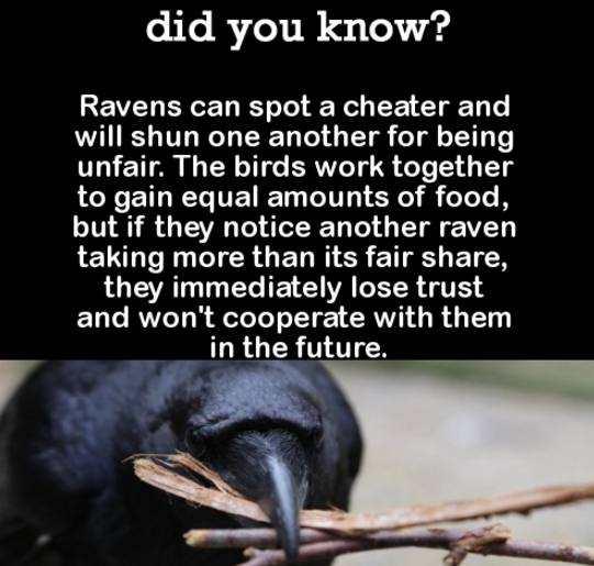 DYK Comp #112. . did you know? Despite the Internet hoaxes of years past, October 21 st, 2015 really is 'Back to the Future Day' In 'Back to the Future Part ,' 