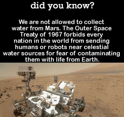 DYK Comp #109. Subscribe for more .. did you know? When Phoebe the basset hound got lost and fell into a cistern, her best friend Tillie stayed with her for nea