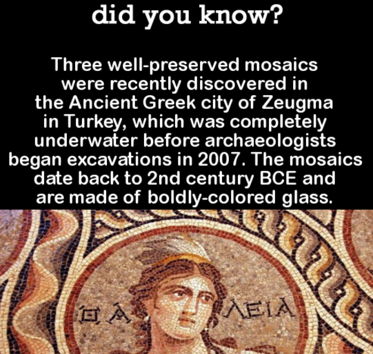 DYK Comp #117. Subscribe for more .. did you know? Someone in the crowd at a Queen Concert in the '1970' s yelled a slur at Freddie Mercury. He stopped the show
