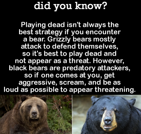 DYK Comp #97. . did you know? Tokyo' s 'Reversible Destiny' lofts have sloping ceilings, uneven floors, echo chambers, and at least 6 colors in view at all time