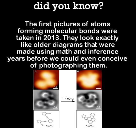 DYK Comp #116. Subscribe for more .. did you know? 6084 of your brain is fat.. no matter what you believe that is god damn amazing