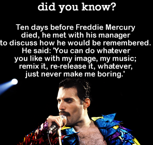 DYK Comp #109. Subscribe for more .. did you know? When Phoebe the basset hound got lost and fell into a cistern, her best friend Tillie stayed with her for nea