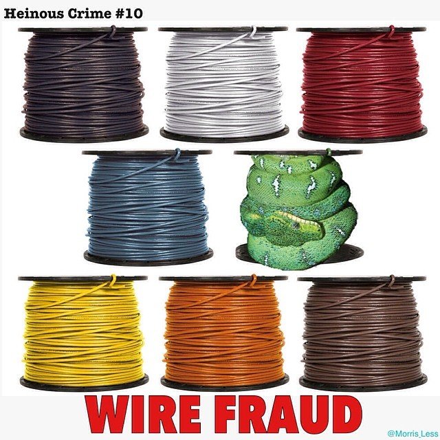 Heinous Crimes. Subscribe for more punny original content, because when it comes to puns, Morris Less.. crime #1 I t? eh, ms Lures. clocked in at 20 times the speed of sound, no survivors...
