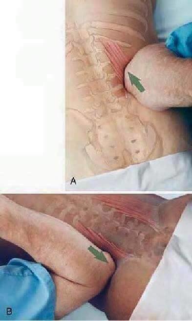 How To Massage. .. You have to make sure enough pressure is made until you hear the snap You can tell they're relaxed if they don't respond to any questions