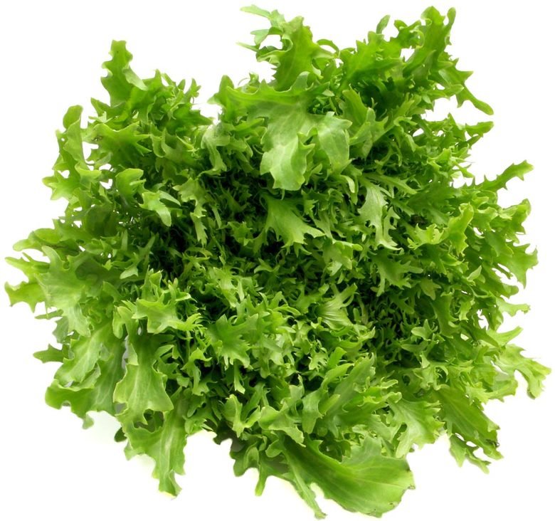 Lettuce comp. .. The Iceberg and the Romaine were in a race. The Romaine had heart, but in the end the Iceberg won because it was a head of lettuce.