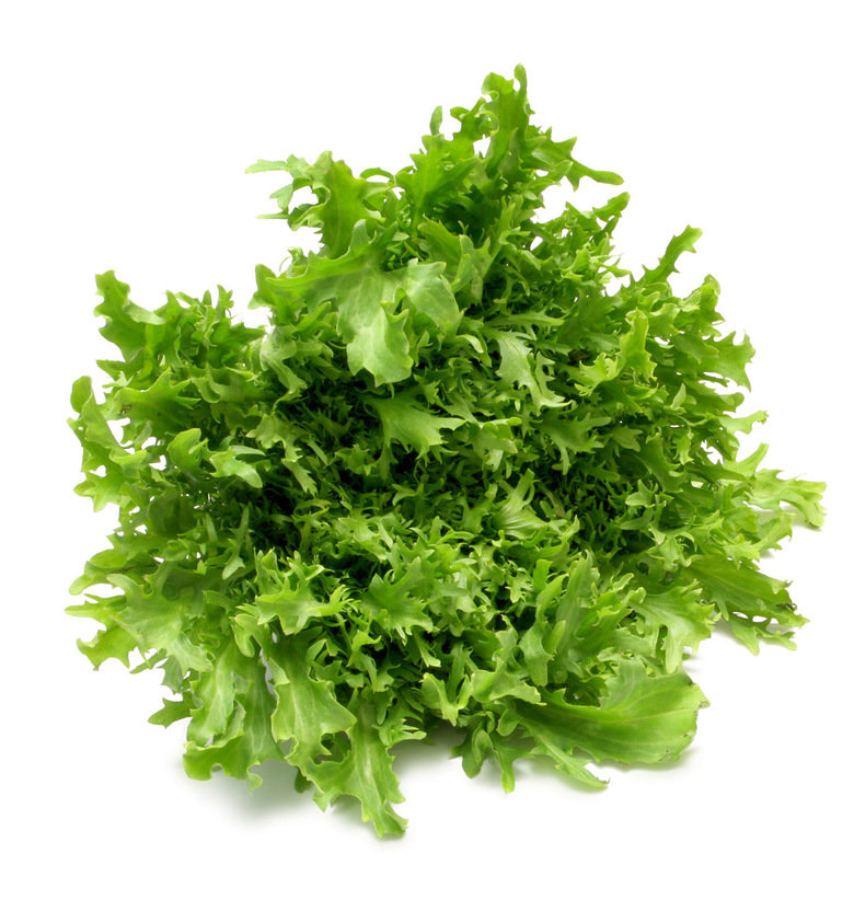 Lettuce comp. .. The Iceberg and the Romaine were in a race. The Romaine had heart, but in the end the Iceberg won because it was a head of lettuce.