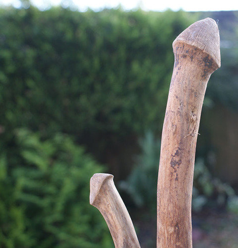 Penis shaped things comp part 2. Pumpkin spiced pecker Government has to do something about these goddamn cockholes Rare picture of the legendary wangfoot's sau