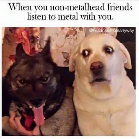 Things on my computer. Pictures that were on my computer for a long time. Still waiting for this to happen to me. Pretty Fly for a White Guy