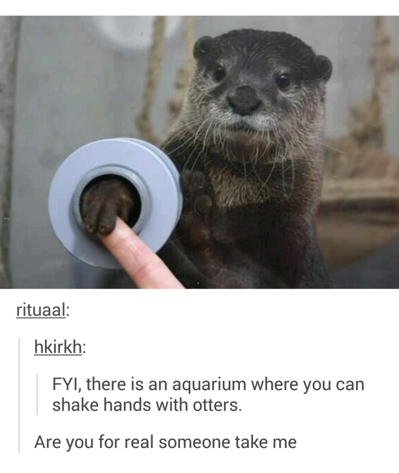 Tumblr comp. .. Good comp good comp. have a thumb