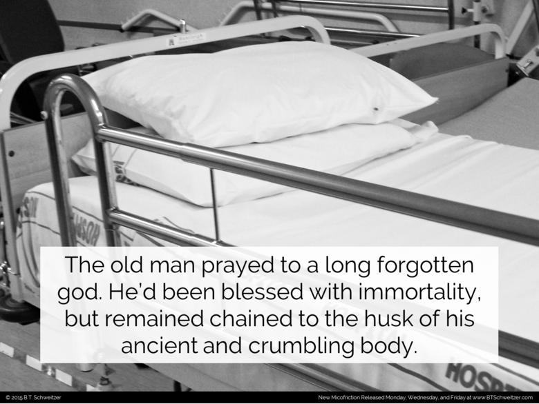 Two Sentence Stories #21. Remember the submission deadline for my contest is today! Enter here: www.btschweitzer.com/contests/contestnovember2015/. Like last ti