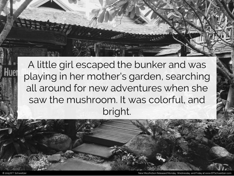 Two Sentence Stories #9. Wow talk about highs and lows! Last comp didn't even break 50 thumbs while the one before it set my record. Hope this one is closer to 