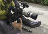 Kitten & cameraman
