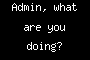 Admin, what are you doing?