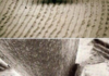 Vinyl Record Up Close